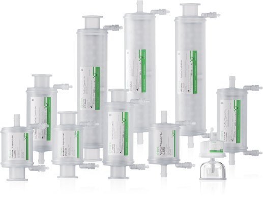 Capsule filters