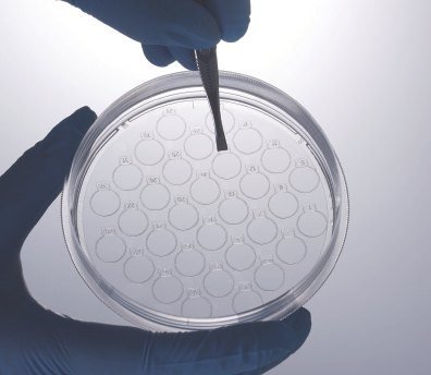 CellSLIP coverslips